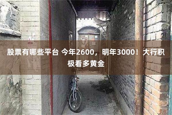 股票有哪些平台 今年2600，明年3000！大行积极看多黄金