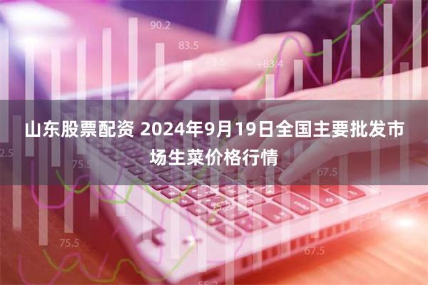 山东股票配资 2024年9月19日全国主要批发市场生菜价格行情