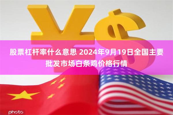 股票杠杆率什么意思 2024年9月19日全国主要批发市场白条鸡价格行情