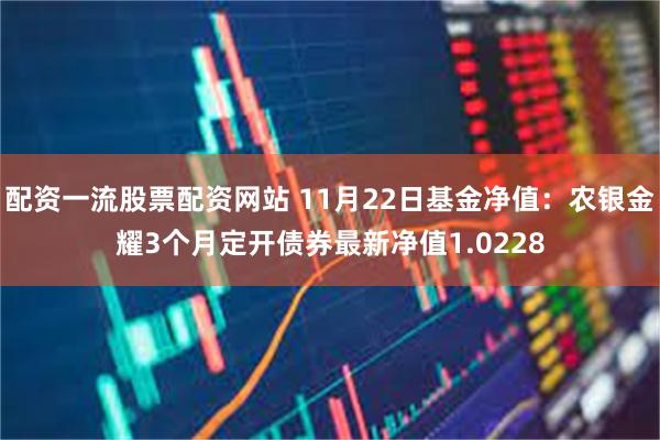 配资一流股票配资网站 11月22日基金净值：农银金耀3个月定开债券最新净值1.0228