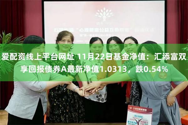 爱配资线上平台网址 11月22日基金净值：汇添富双享回报债券A最新净值1.0313，跌0.54%