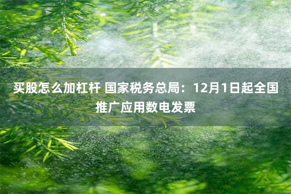 买股怎么加杠杆 国家税务总局：12月1日起全国推广应用数电发票