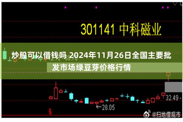 炒股可以借钱吗 2024年11月26日全国主要批发市场绿豆芽价格行情