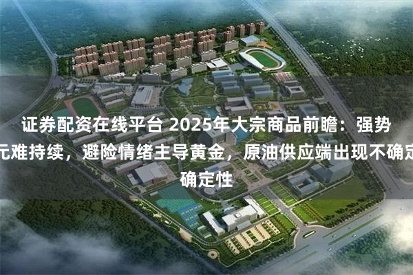 证券配资在线平台 2025年大宗商品前瞻：强势美元难持续，避险情绪主导黄金，原油供应端出现不确定性