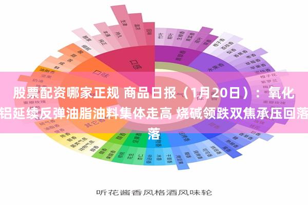 股票配资哪家正规 商品日报（1月20日）：氧化铝延续反弹油脂油料集体走高 烧碱领跌双焦承压回落