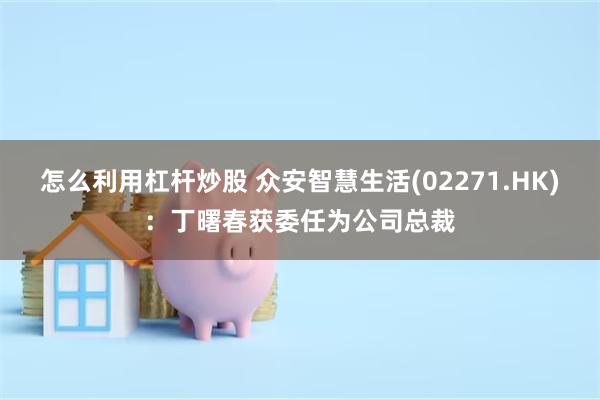 怎么利用杠杆炒股 众安智慧生活(02271.HK)：丁曙春获委任为公司总裁